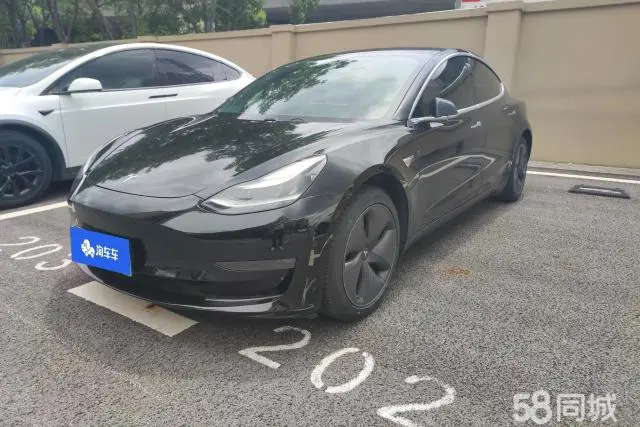 Tesla Model 3 (Imported) 2019 汽车图片 