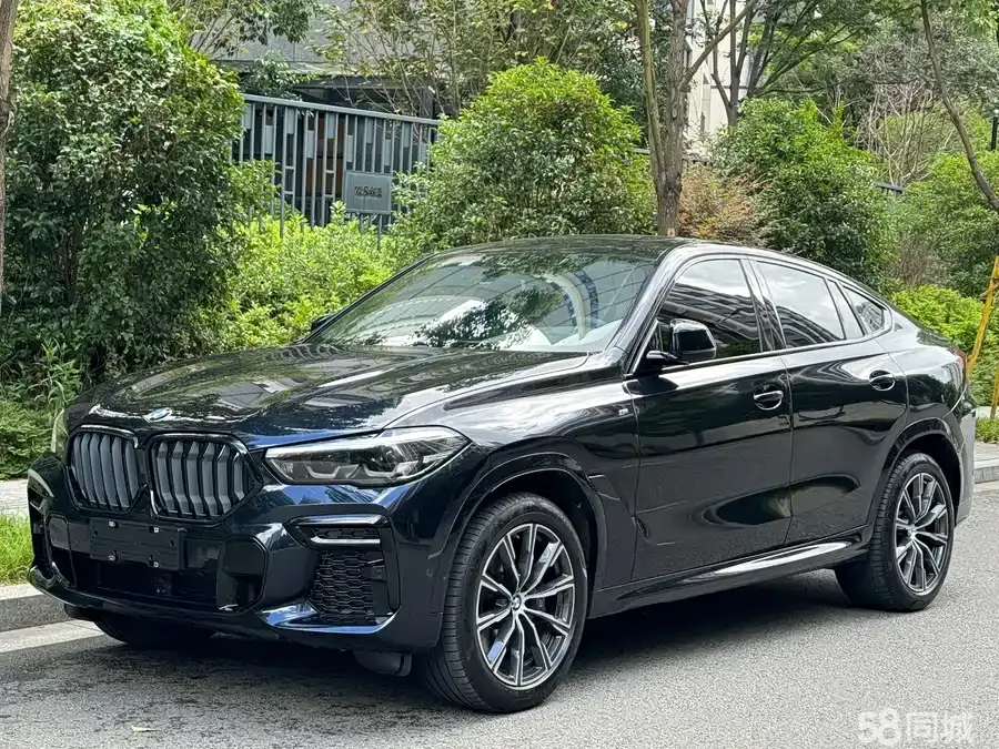 BMW X6 2023 汽车图片 