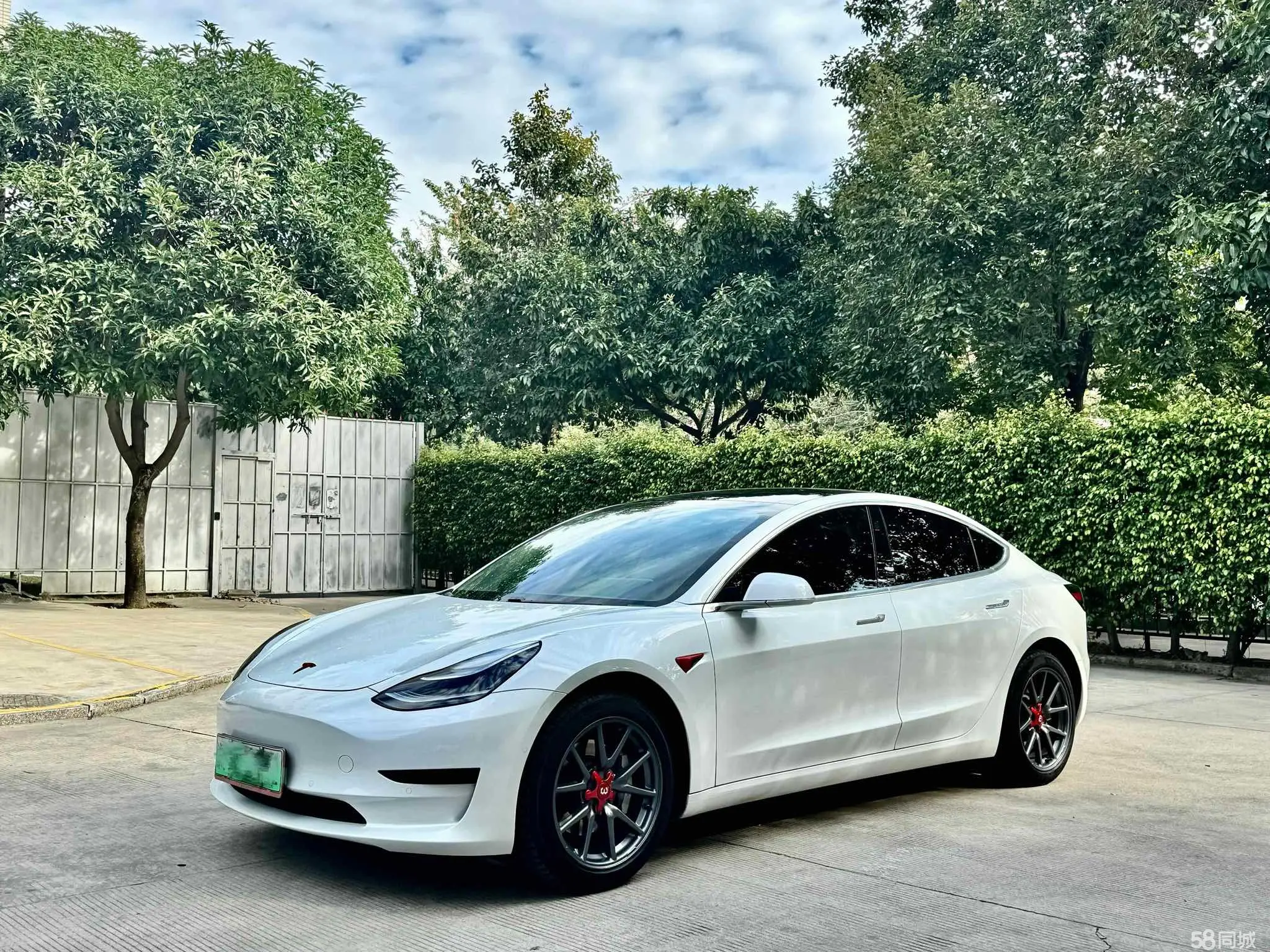 Tesla Model 3 (Imported) 2019 汽车图片 