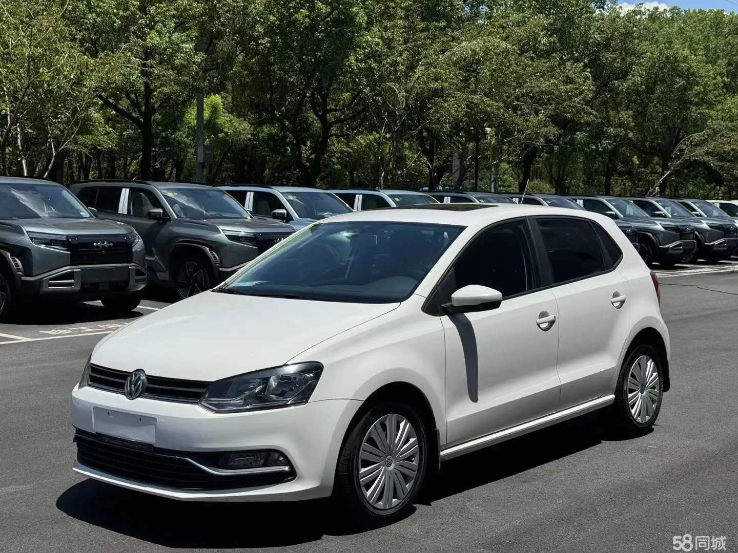 Volkswagen Polo 2016 Volkswagen Polo 2016 car image
