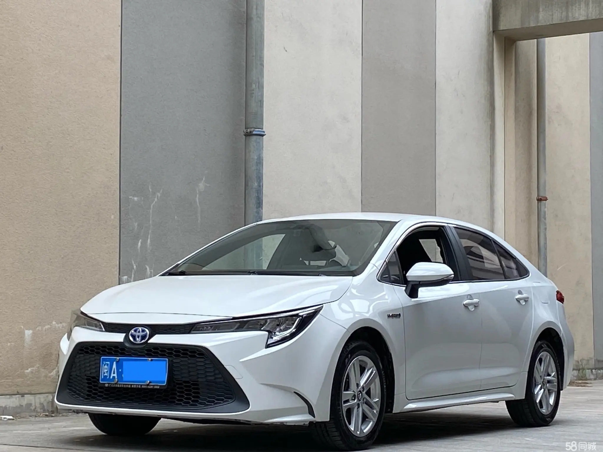 丰田 雷凌 2020 汽车图片 