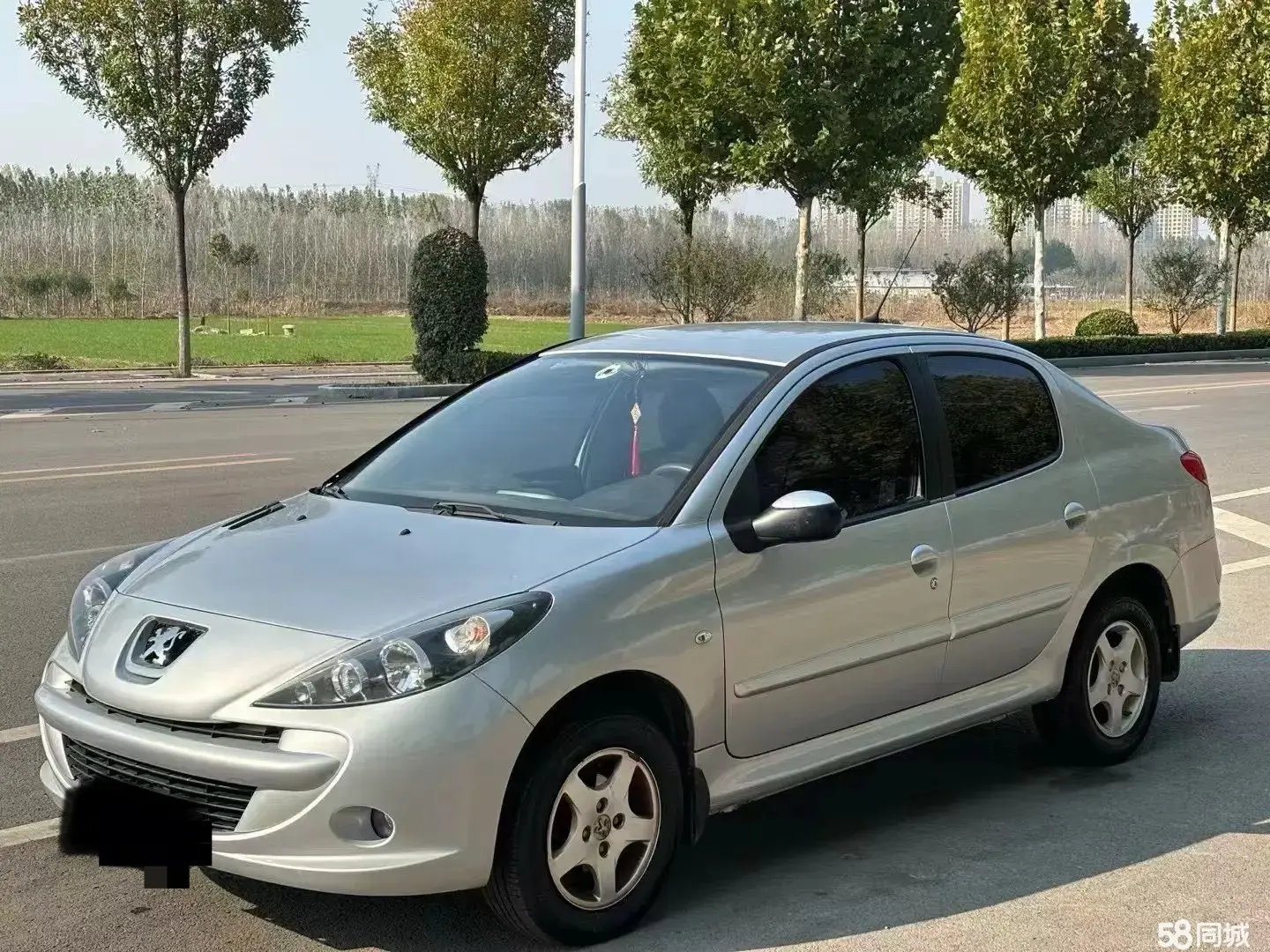 Peugeot 207 2013 汽车图片 