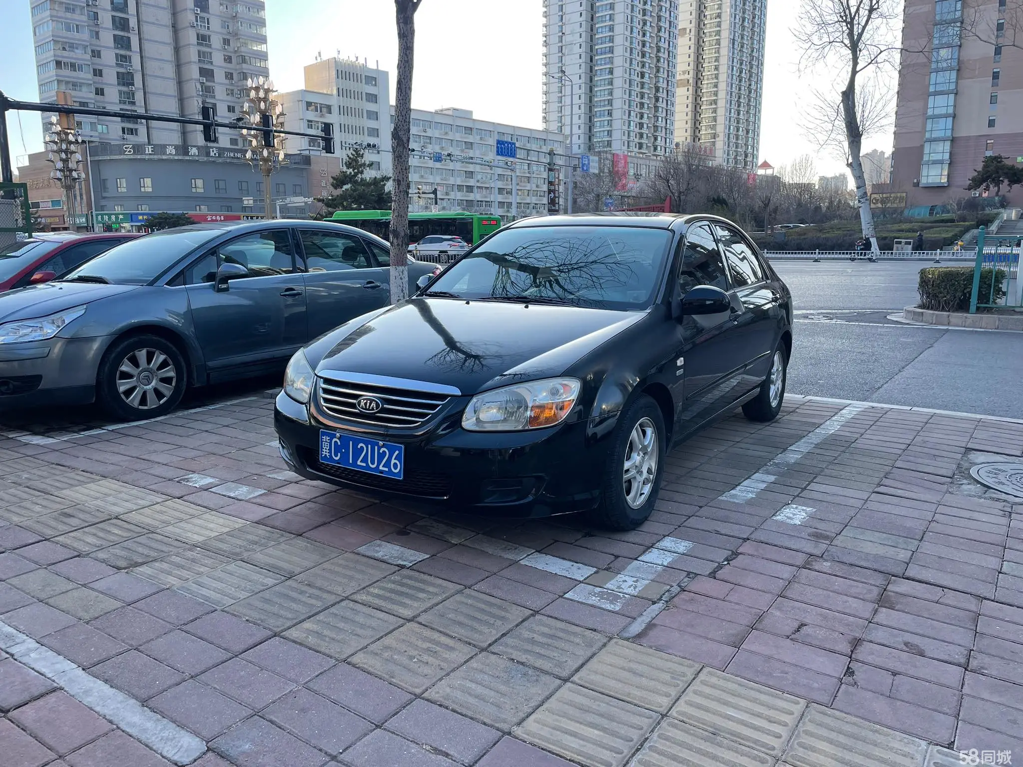 Kia Cerato 2010 汽车图片 
