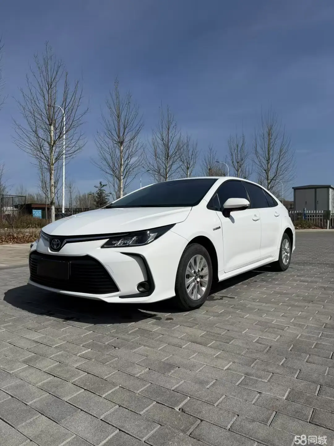 Toyota Corolla 2022 Toyota Corolla 2022 car image