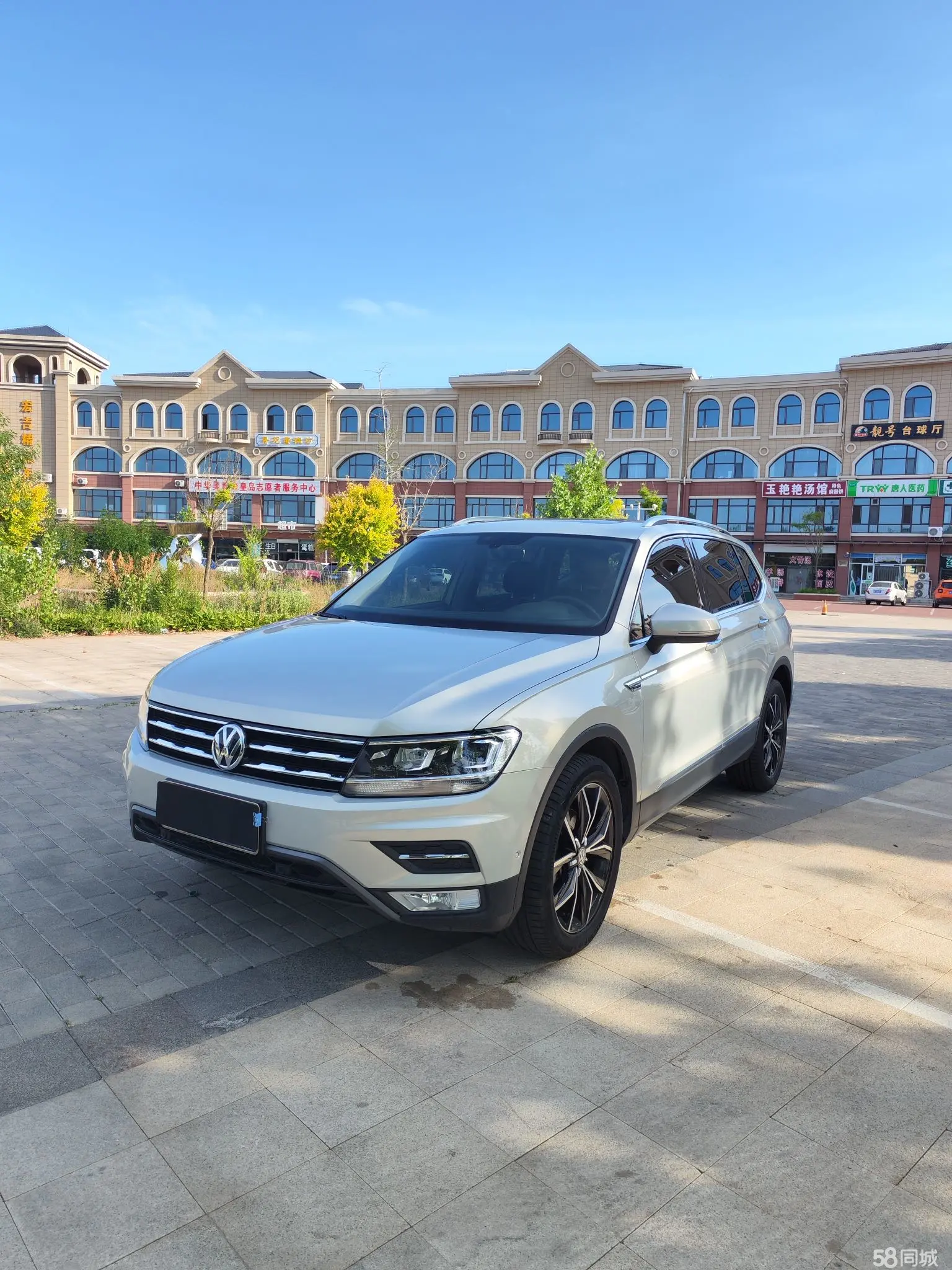 Volkswagen Tiguan L 2019 car image 