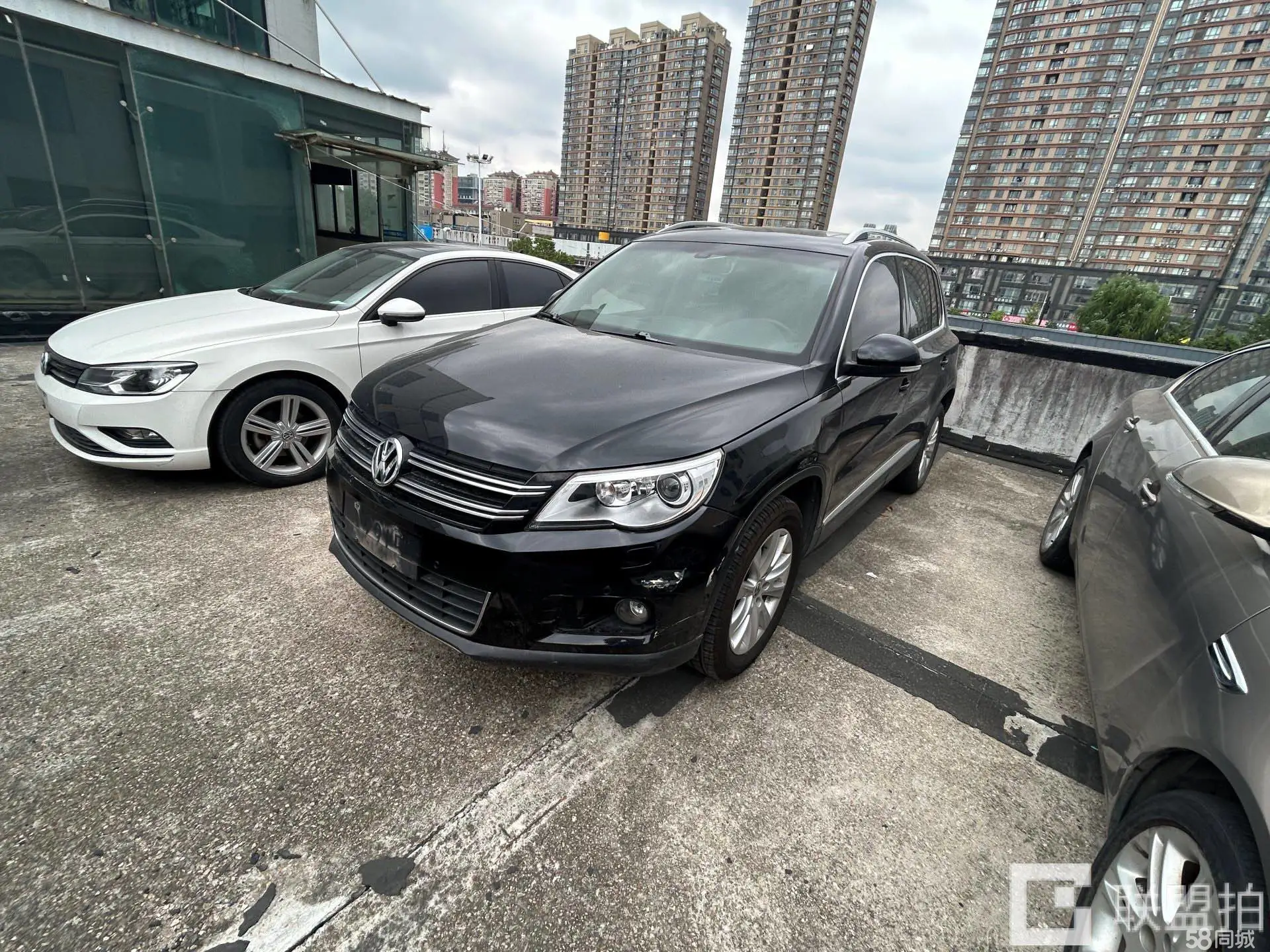 Volkswagen Tiguan 2011 Volkswagen Tiguan 2011 car image