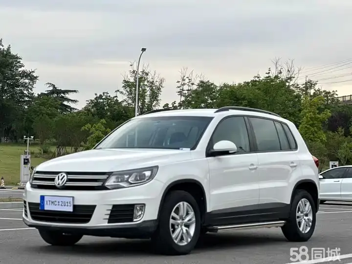 Volkswagen Tiguan 2013 car image 
