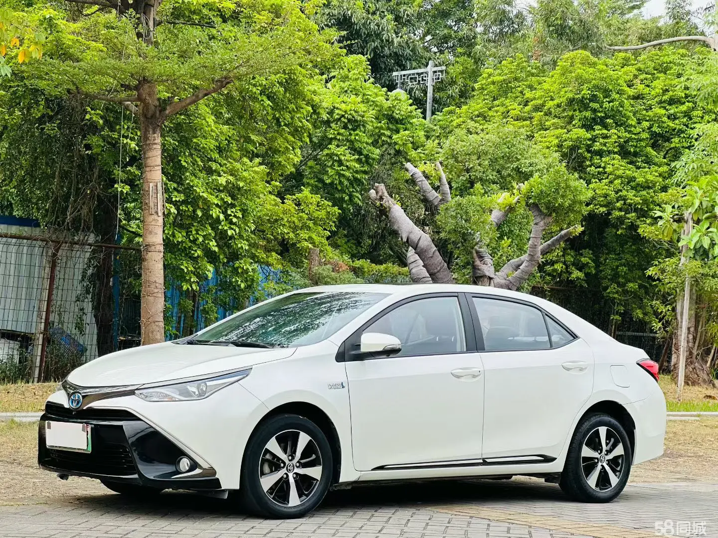 Toyota Levin Hybird E+ 2019 汽车图片 