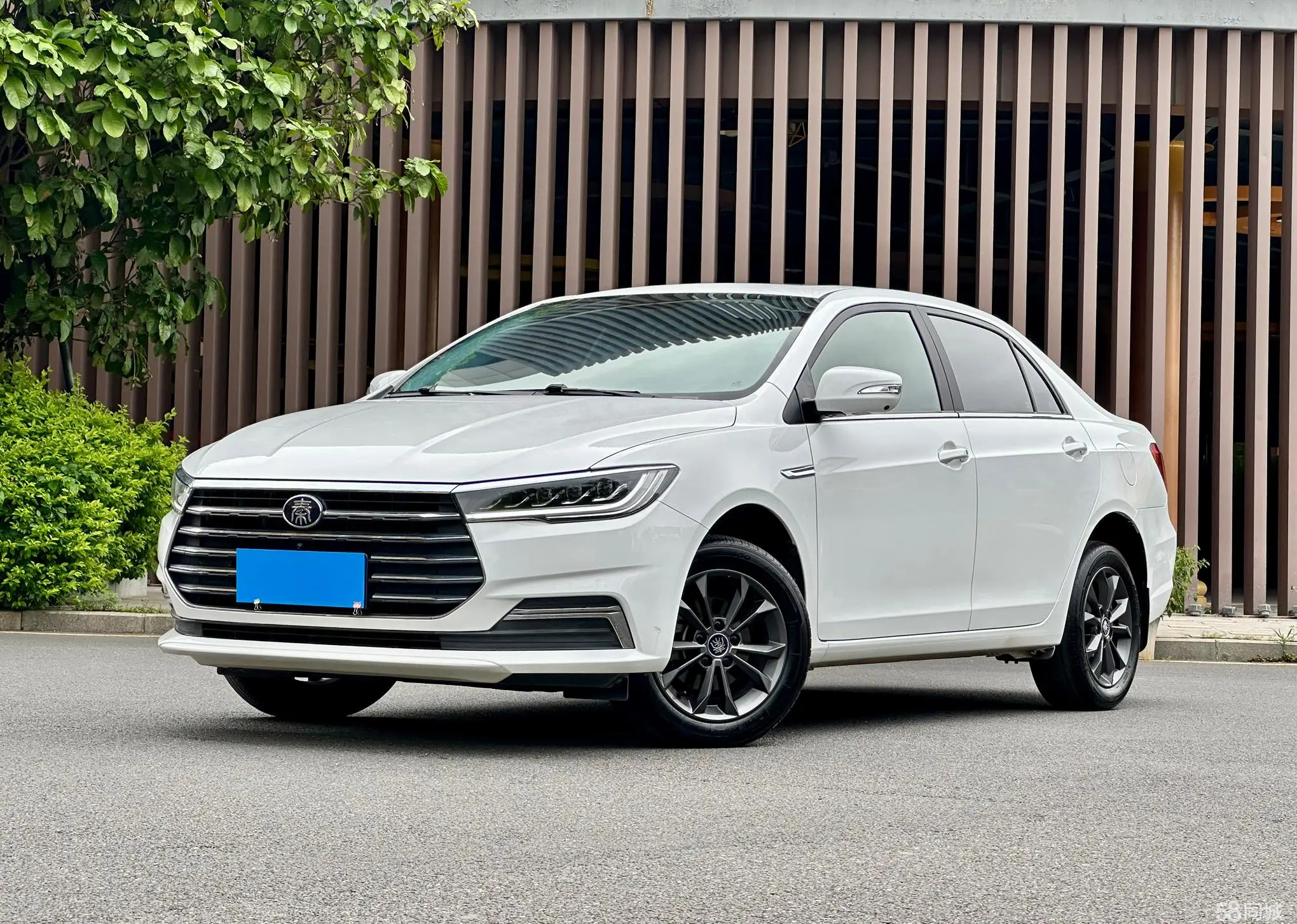 BYD Qin 2020 BYD Qin 2020 car image