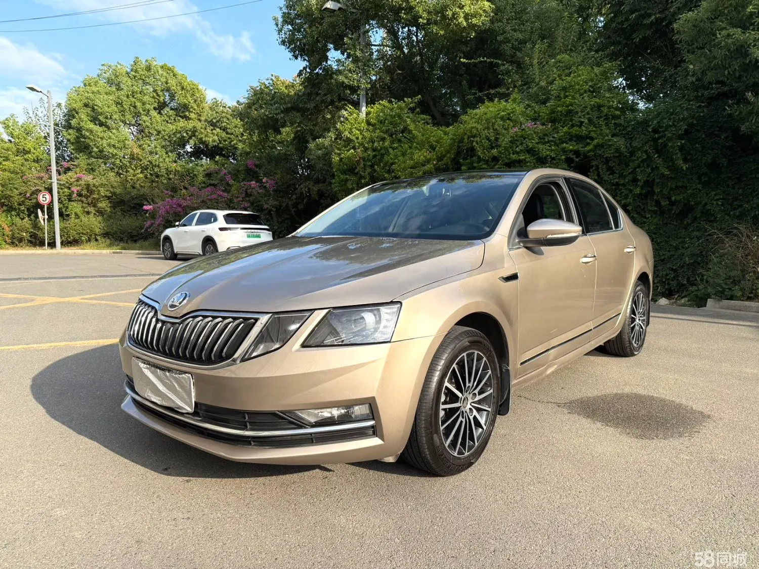Skoda Octavia 2019 immagine di auto 