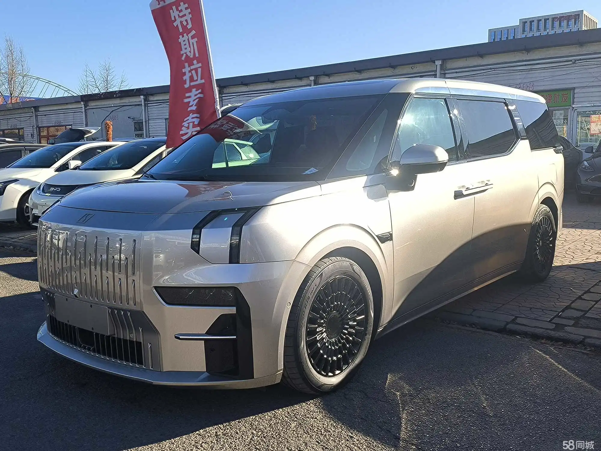 Zeekr 009 2023 汽车图片 