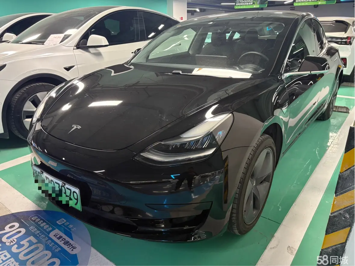 Tesla Model 3 2020 car image 