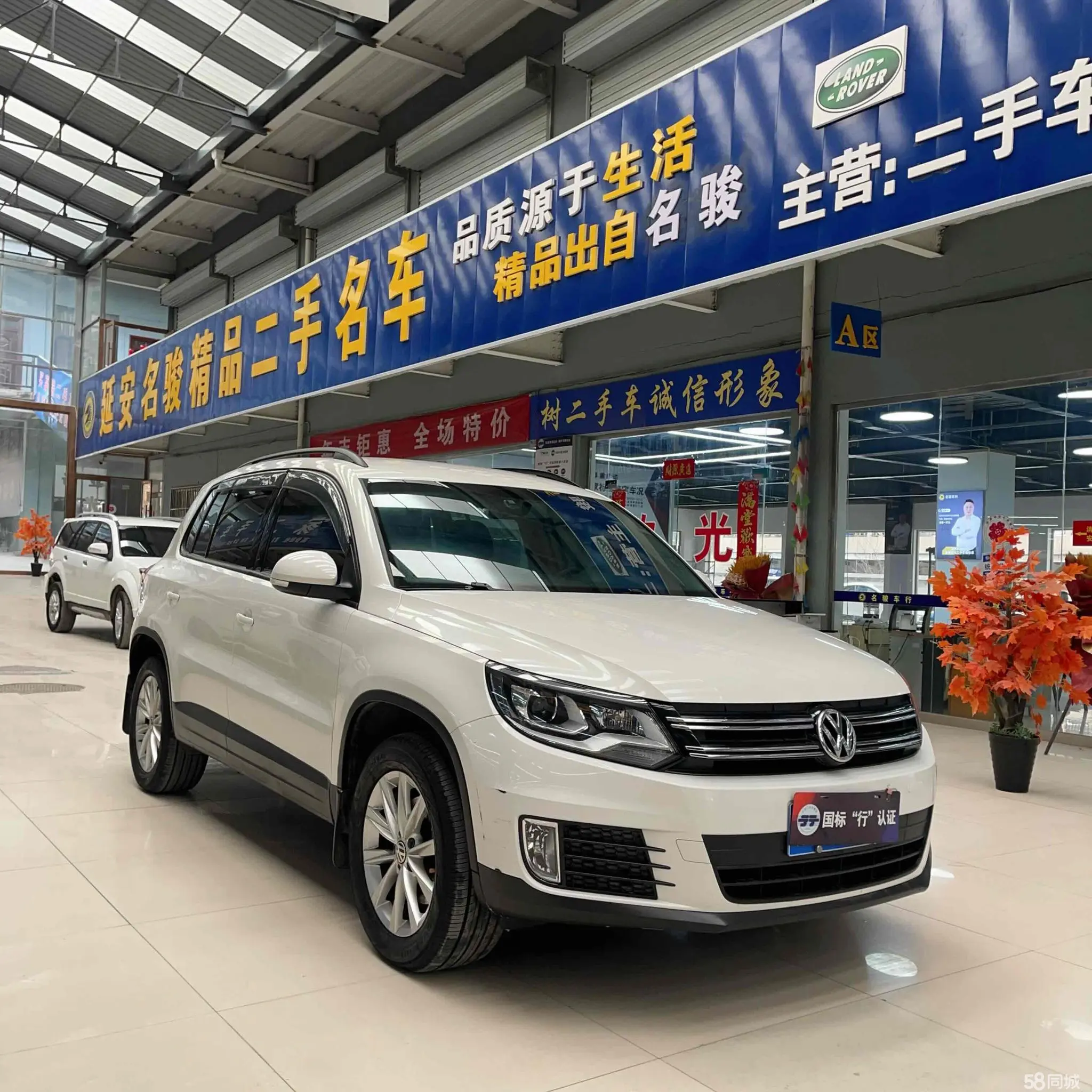 Volkswagen Tiguan 2019 Volkswagen Tiguan 2019 car image