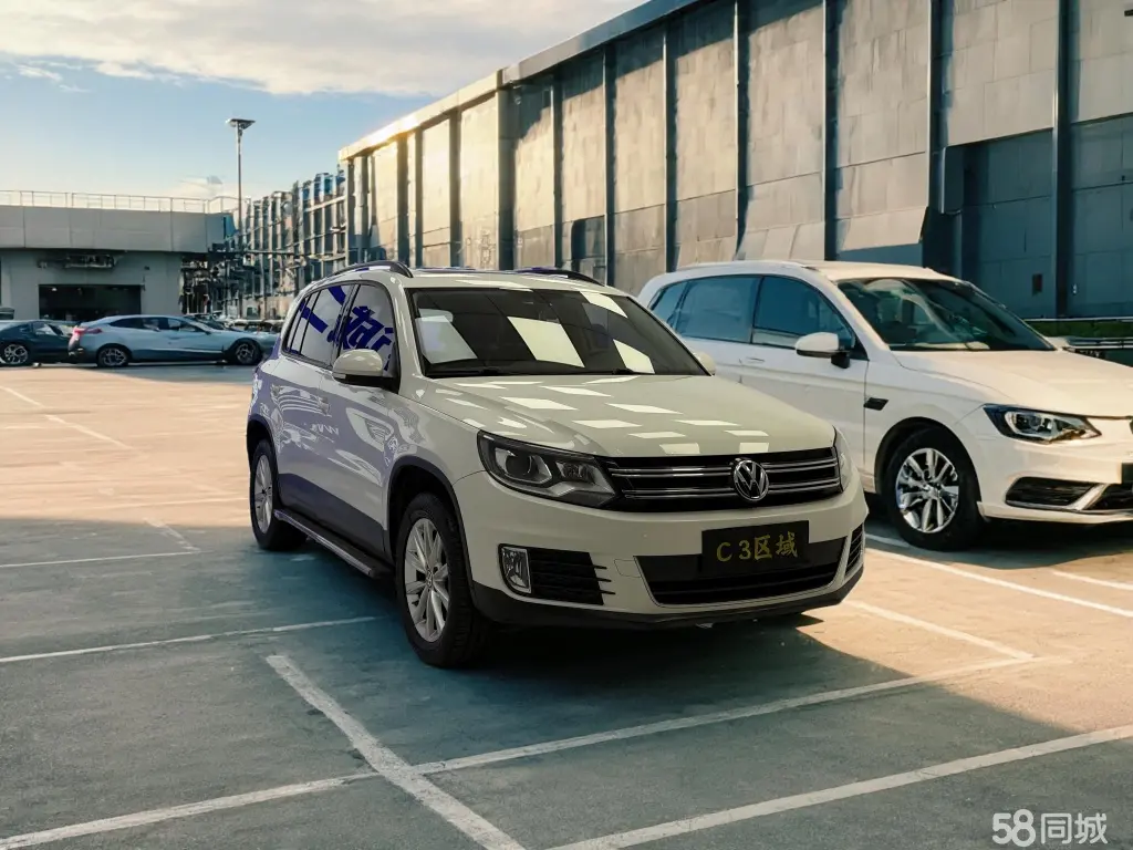 Volkswagen Tiguan 2019 Volkswagen Tiguan 2019 car image