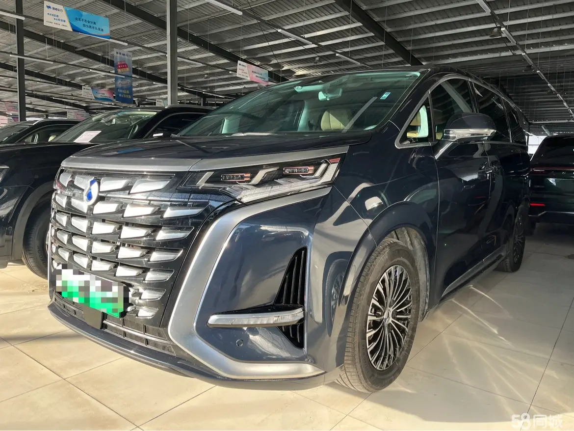 Denza D9 2023 car image 