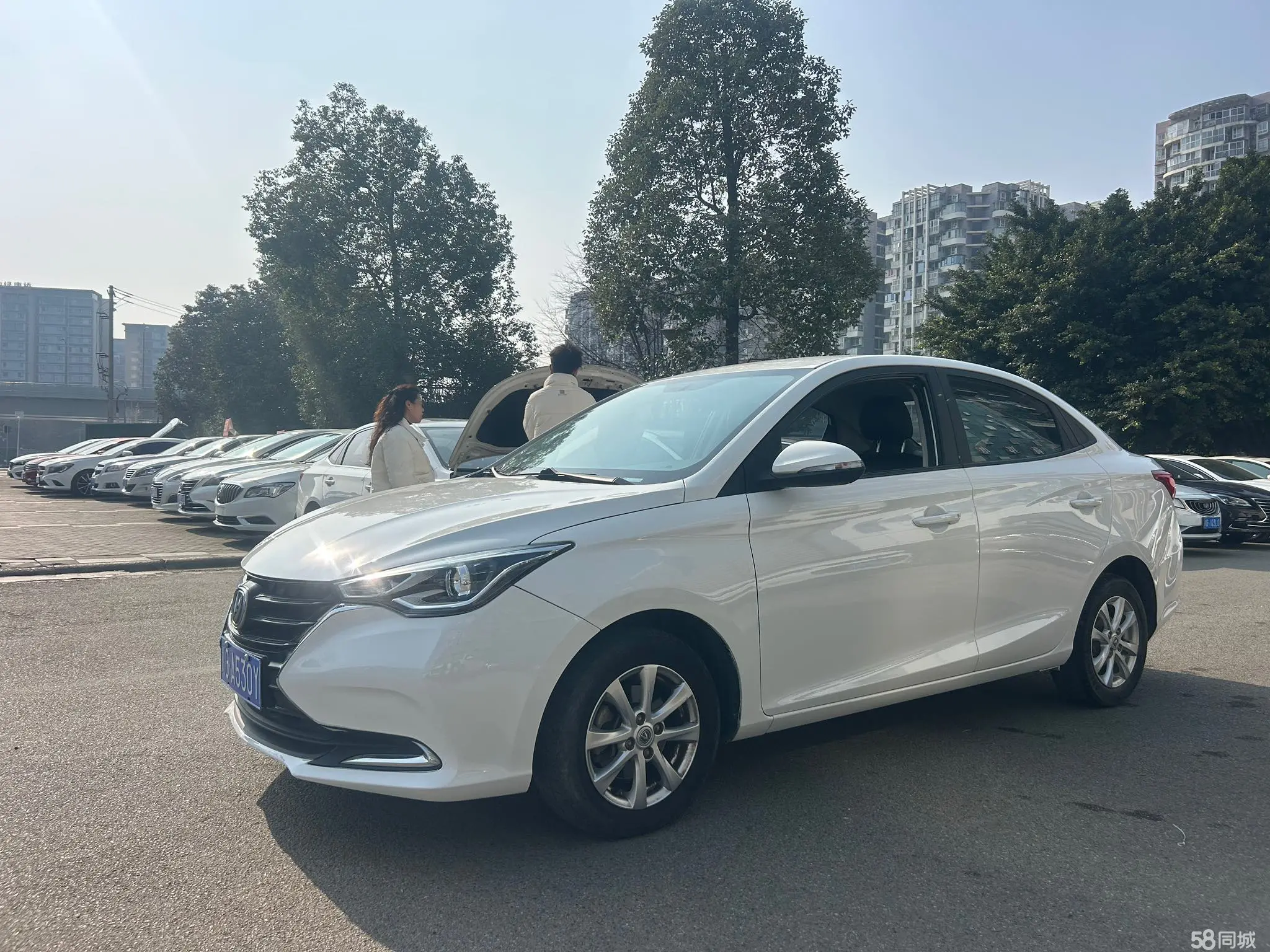 Changan Alsvin 2020 car image 