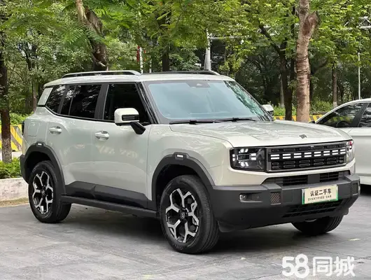 Jetour Shanhai 2024 car image 