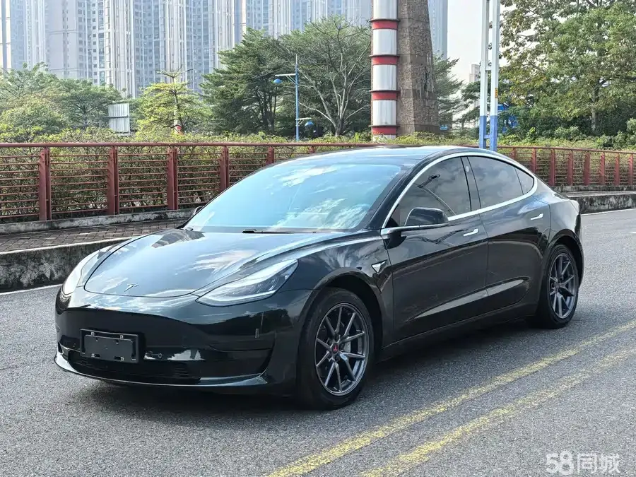 Tesla Model 3 2020 Tesla Model 3 2020 car image