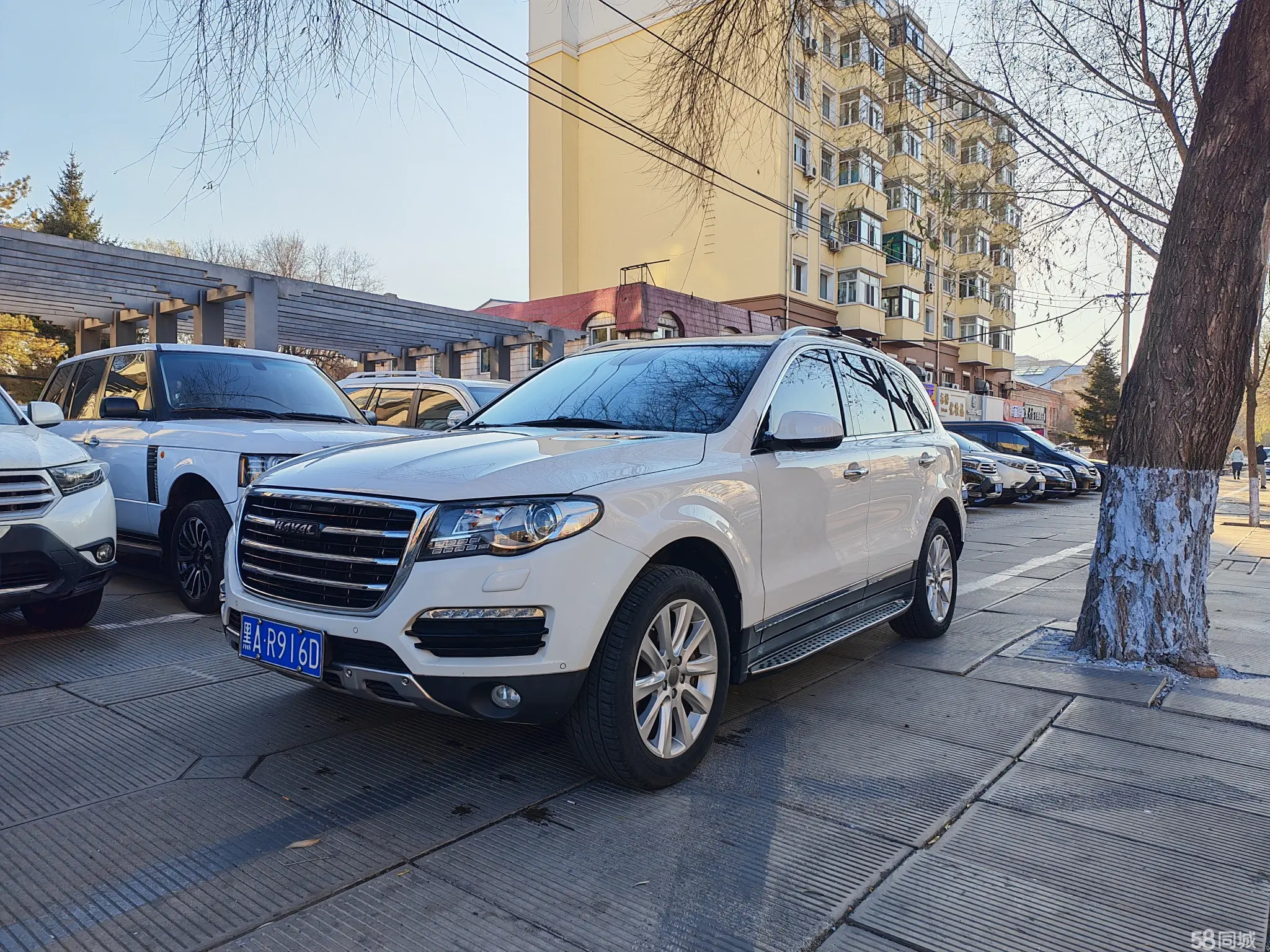 Haval H8 2015 汽车图片 