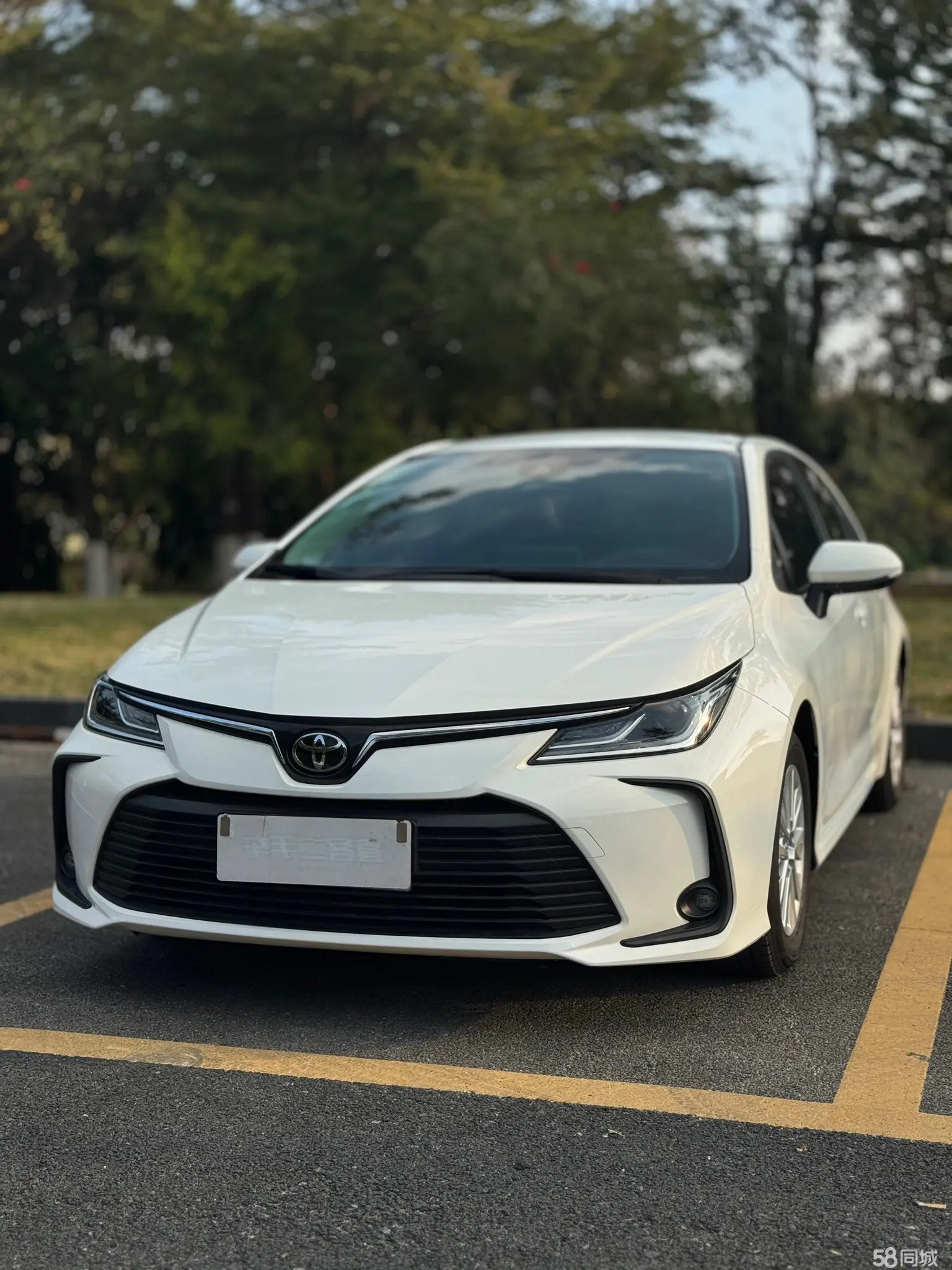 Toyota Corolla 2022 Toyota Corolla 2022 car image