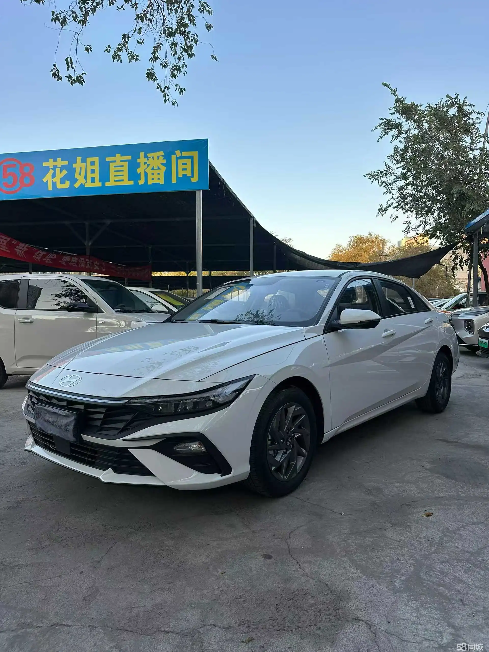 Hyundai Elantra 2025 car image 
