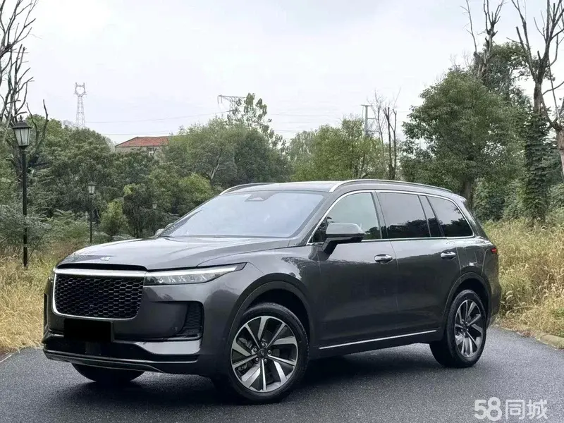 Li One 2021 汽车图片 