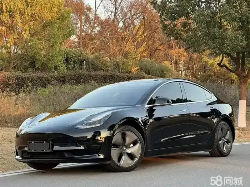 Tesla Model 3 2020 car image 