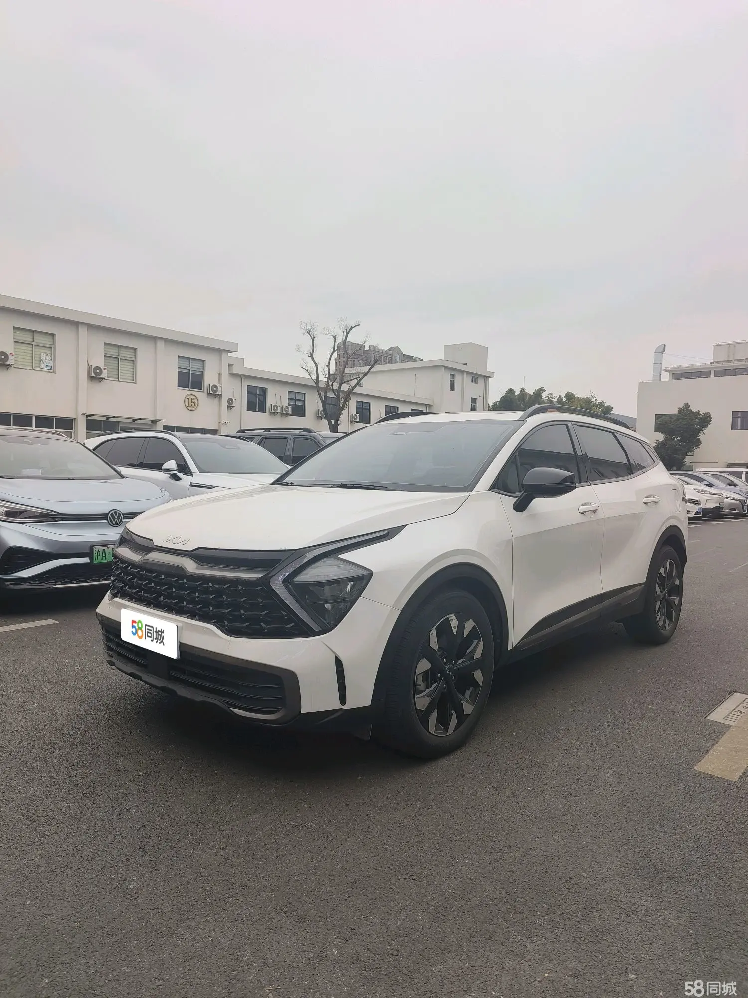 Kia Sportage 2023 car image 