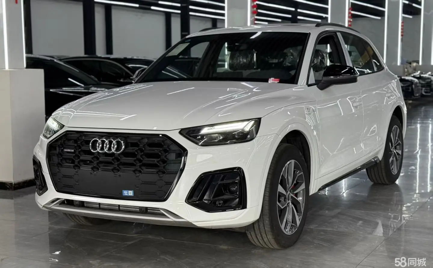 Audi Q5L 2025 car image 