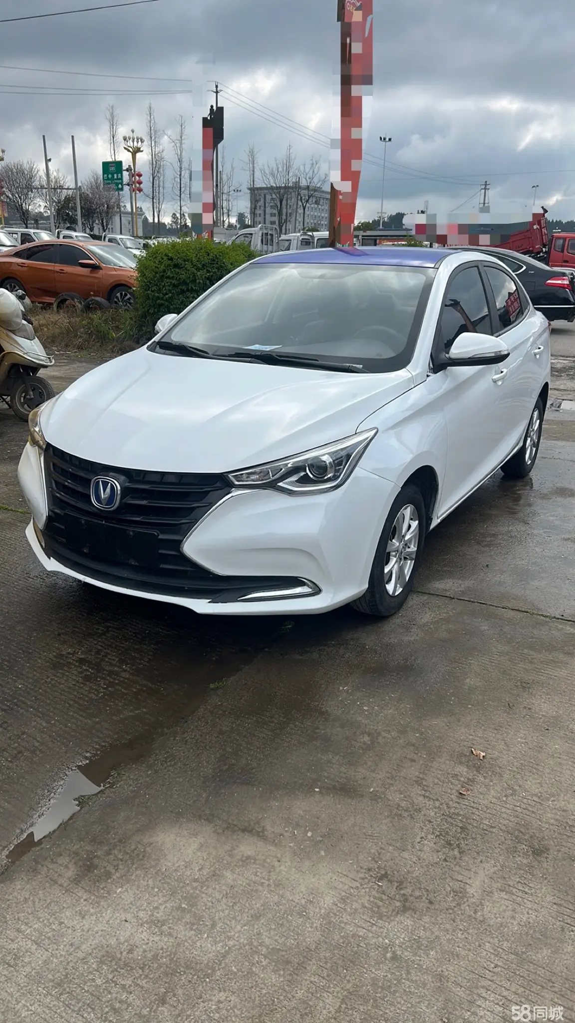 Changan Alsvin 2020 car image 