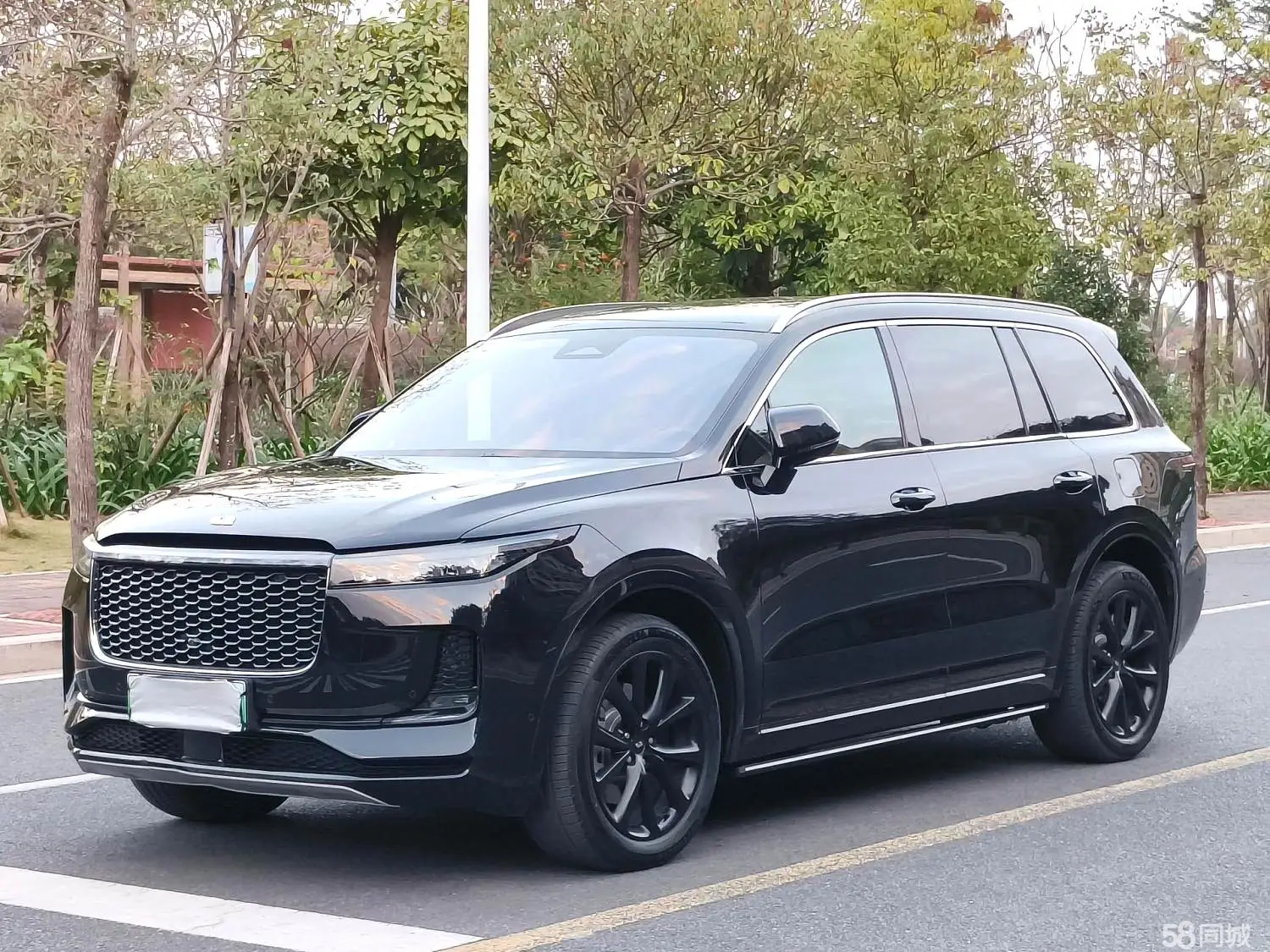 Li One 2021 汽车图片 