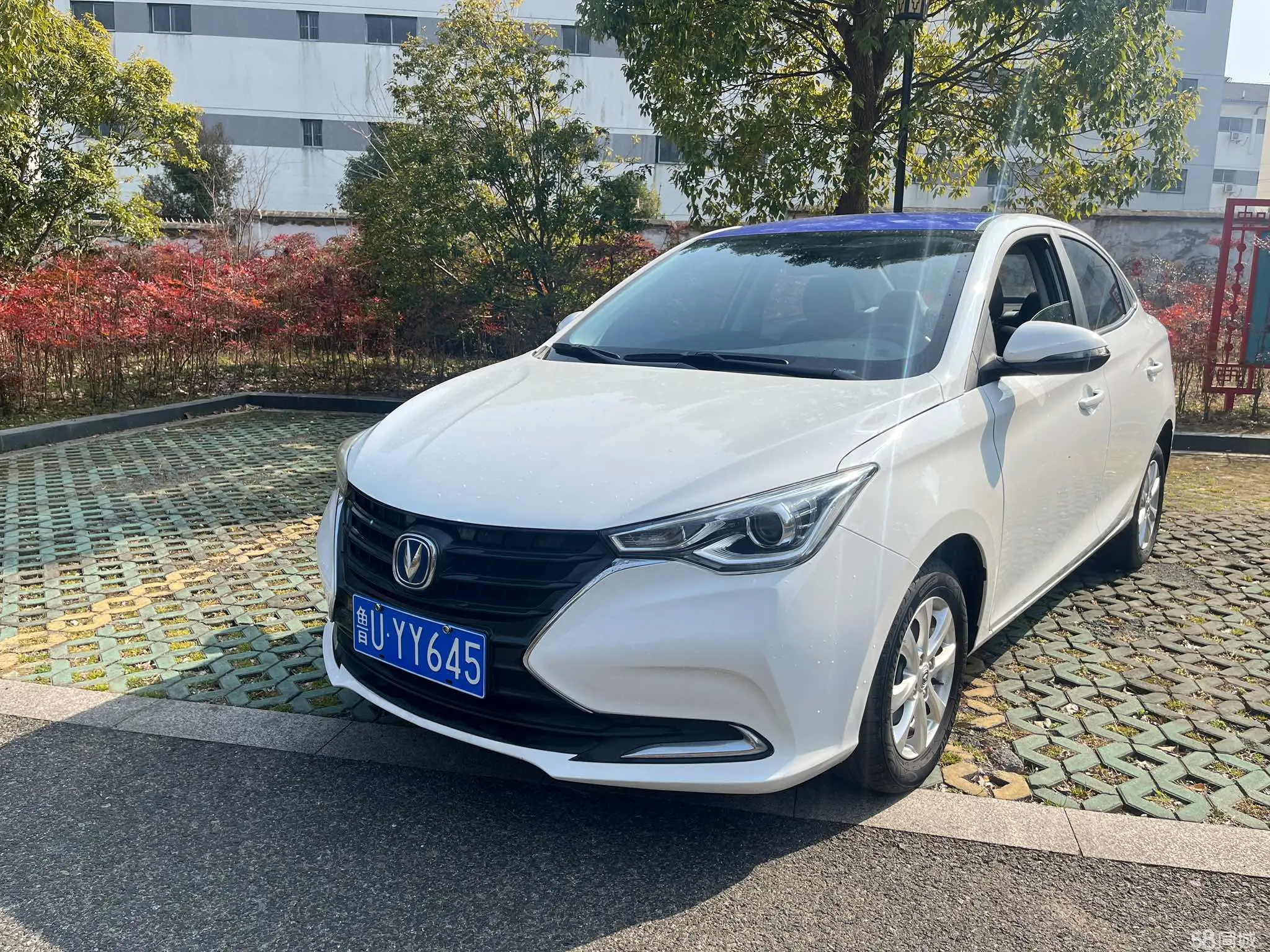 Changan Alsvin 2020 car image 
