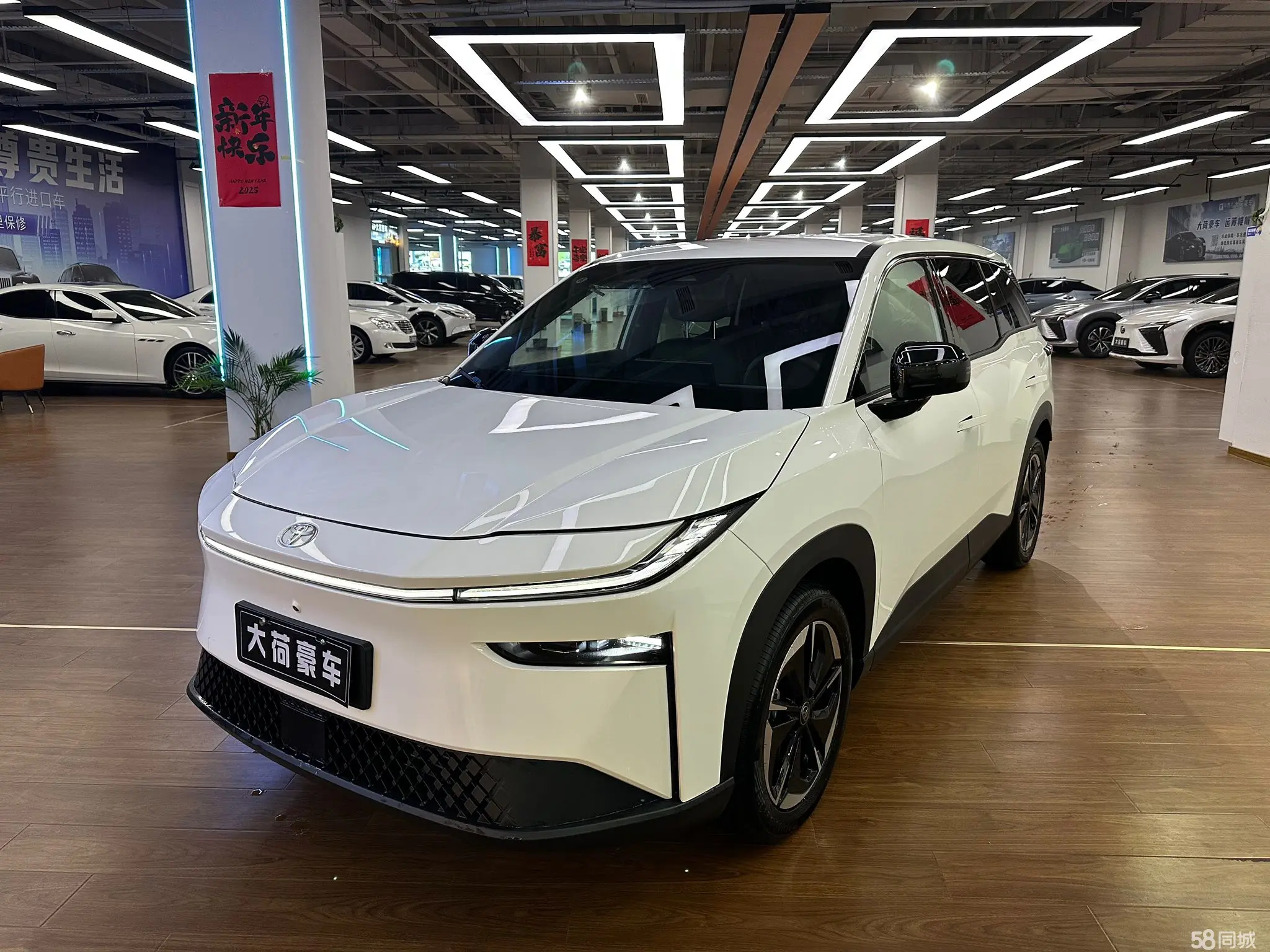 Toyota Bozhi 3X 2025 汽车图片 