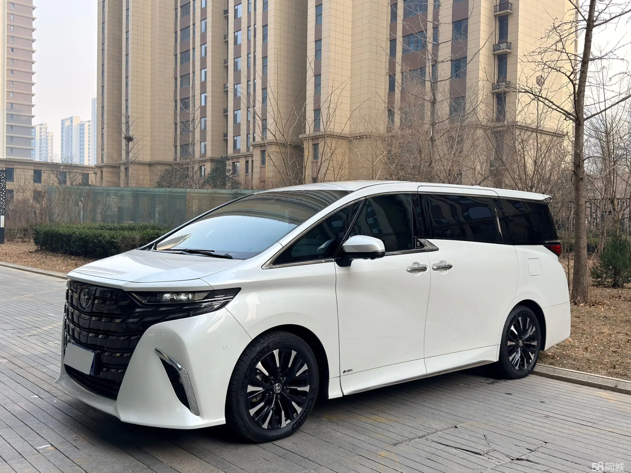 Toyota Alphard 2024 car image 