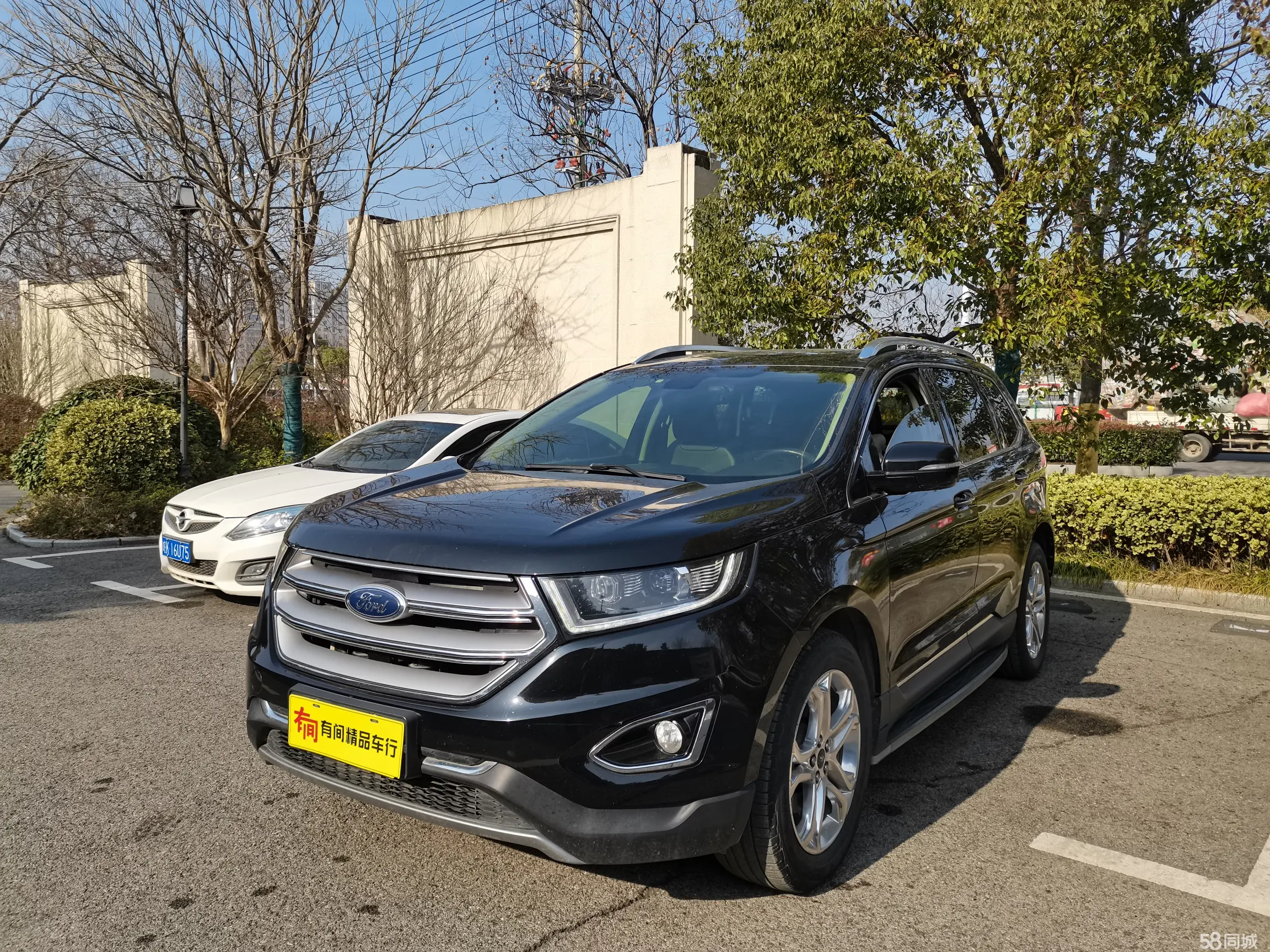 Ford Edge 2017 immagine di auto 