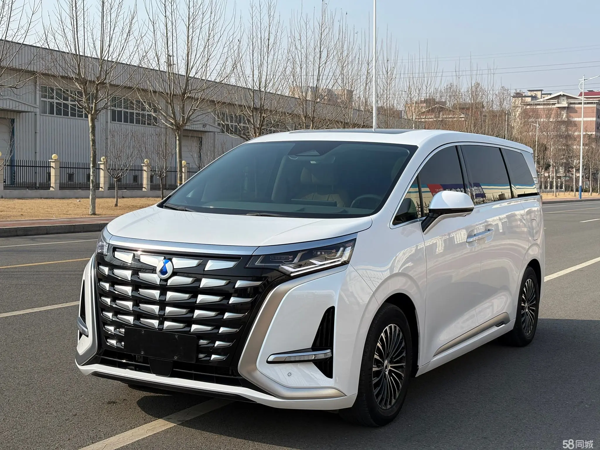 Denza D9 2023 immagine di auto 