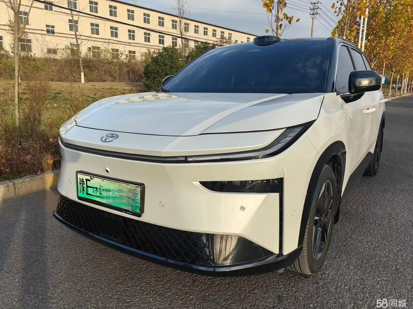 Toyota Bozhi 3X 2025 汽车图片 