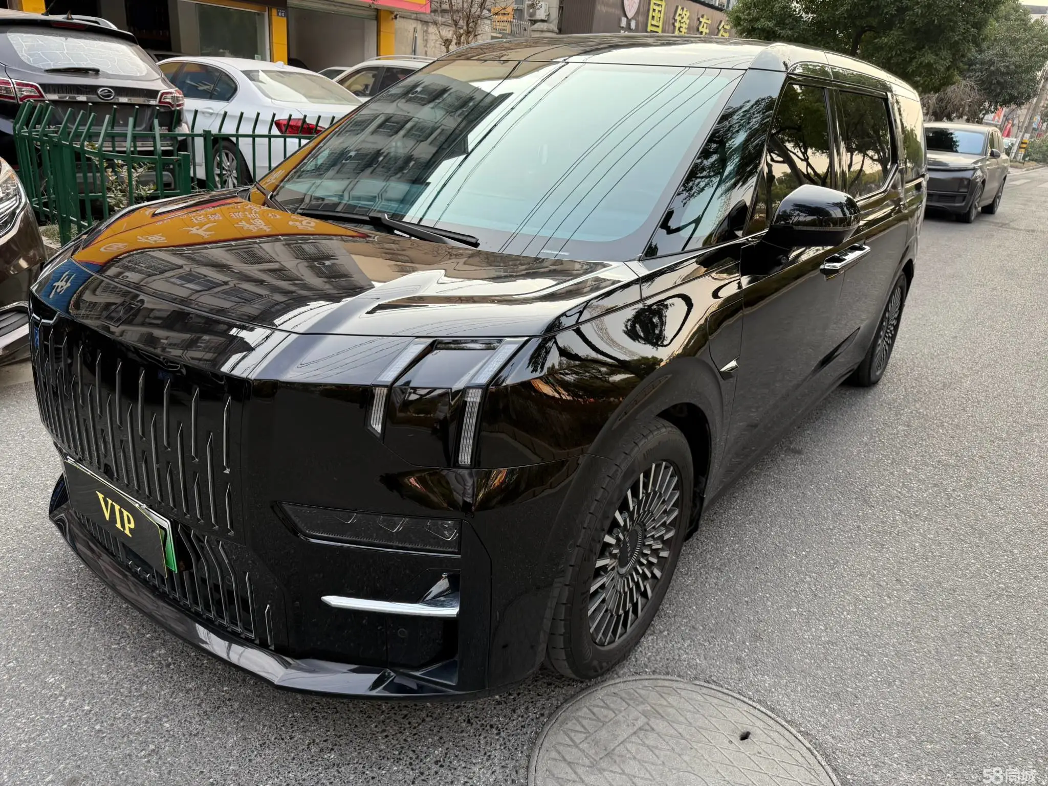 Zeekr 009 2023 汽车图片 