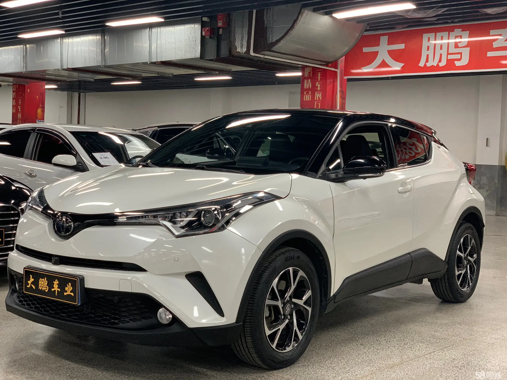 Toyota C-HR 2020 汽车图片 