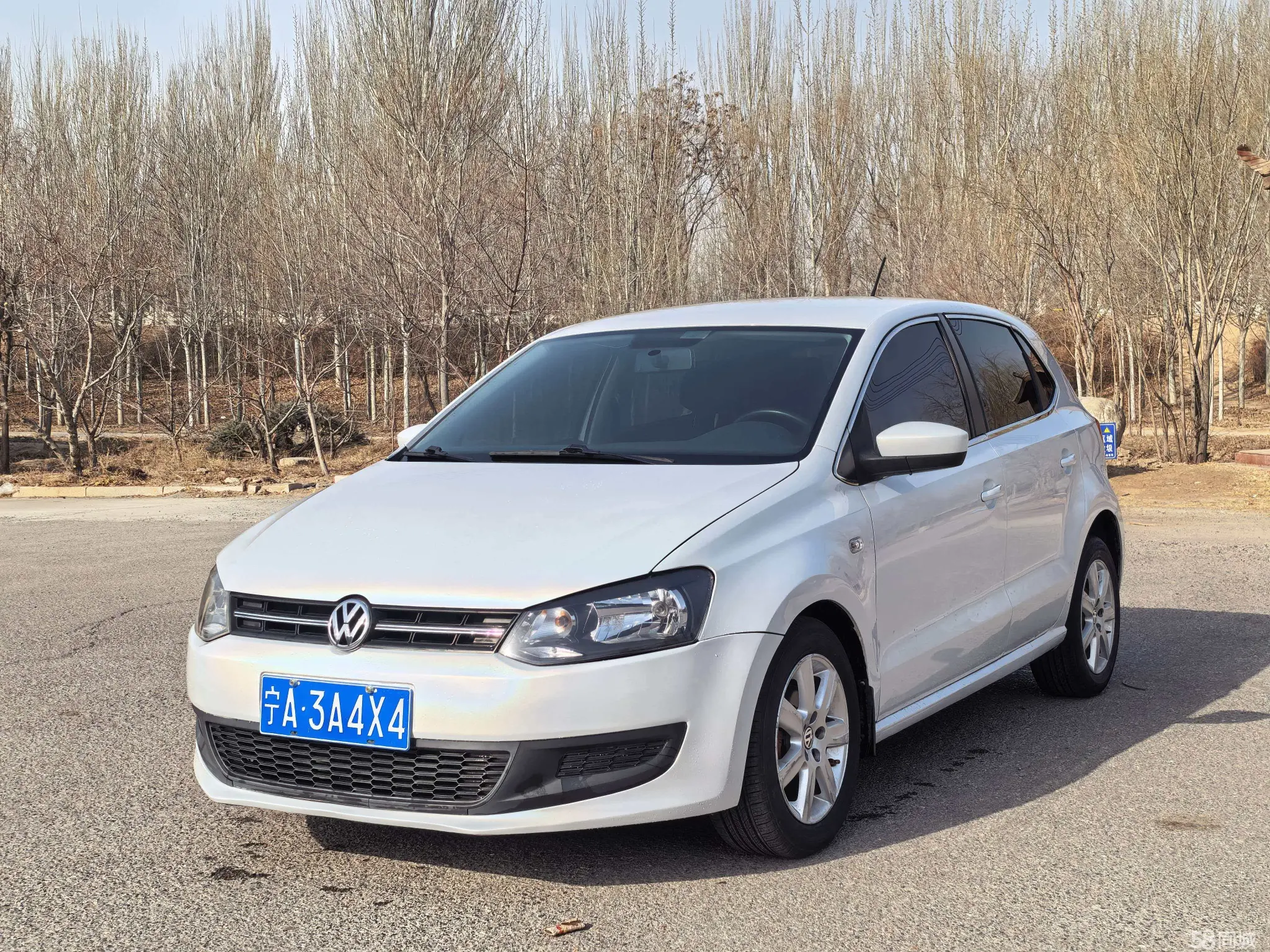 Volkswagen Polo 2011 car image 