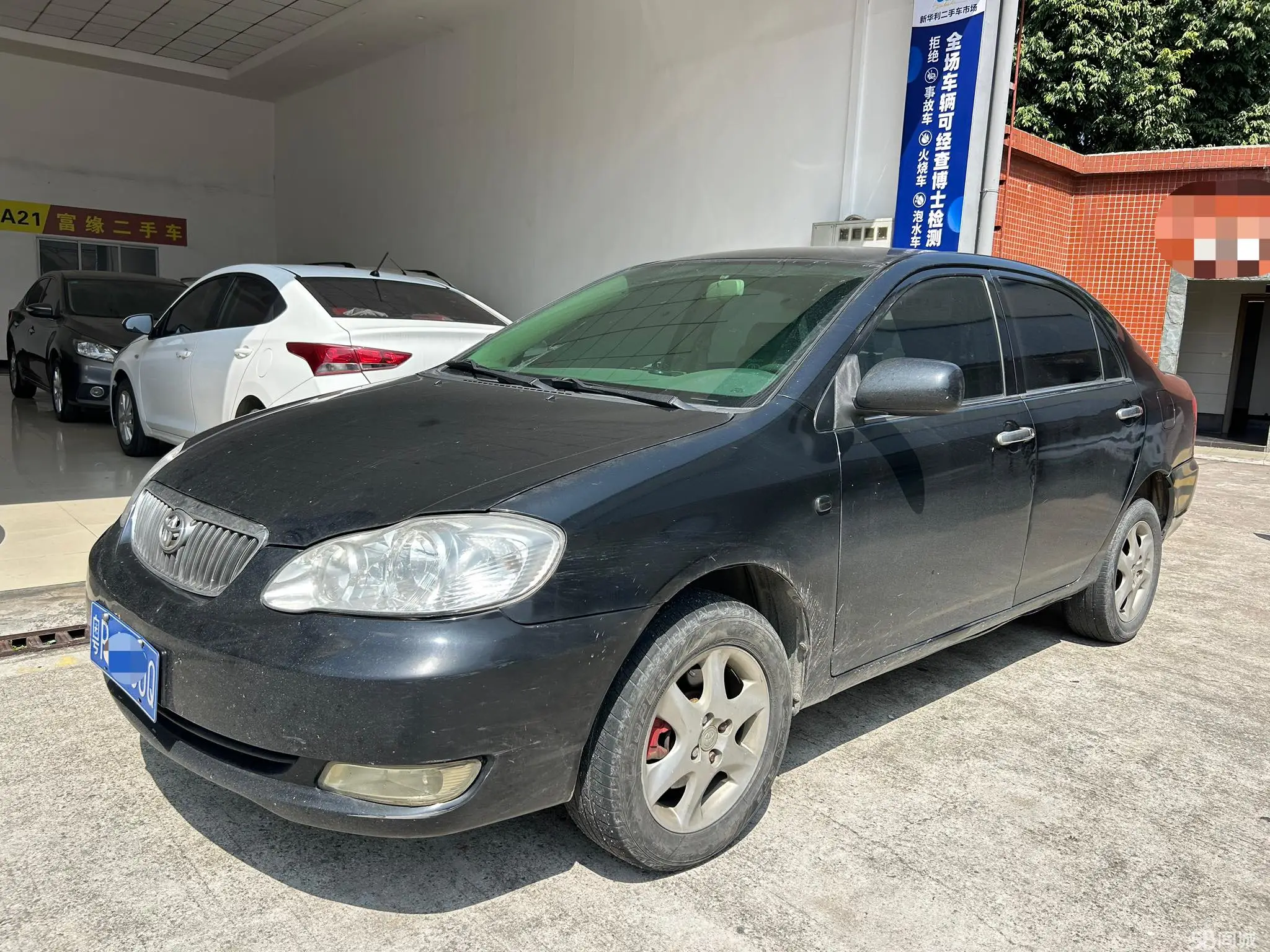 Toyota Corolla (Classic) 2009 car image 
