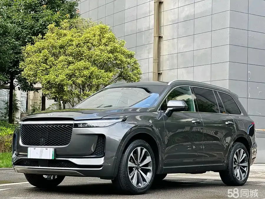 Li One 2020 汽车图片 