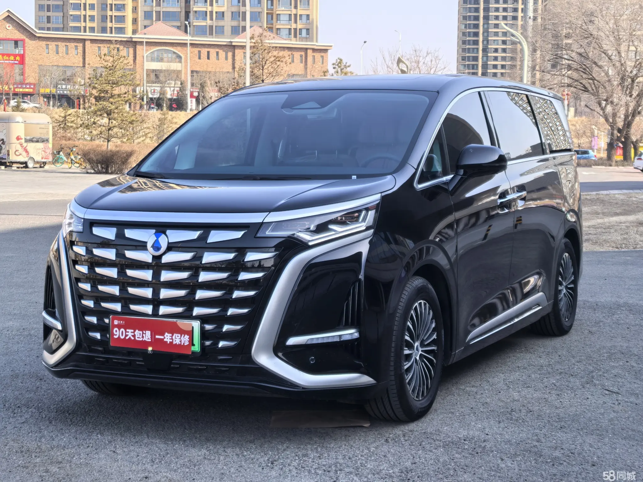 Denza D9 2024 immagine di auto 