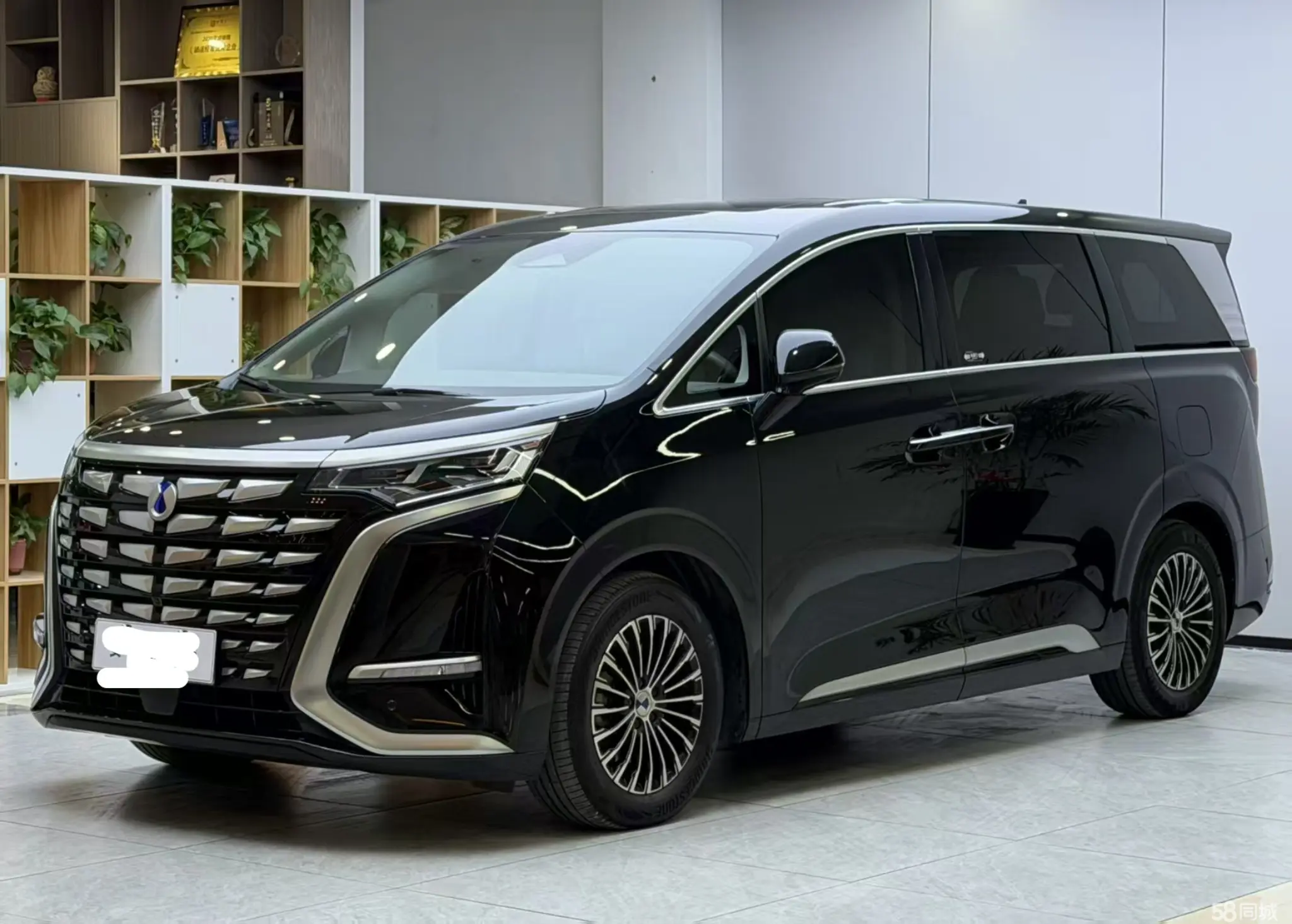 Denza D9 2024 immagine di auto 