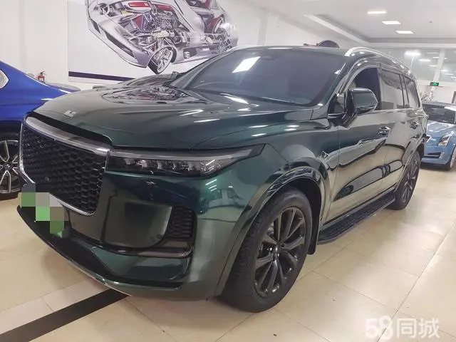 Li One 2021 汽车图片 