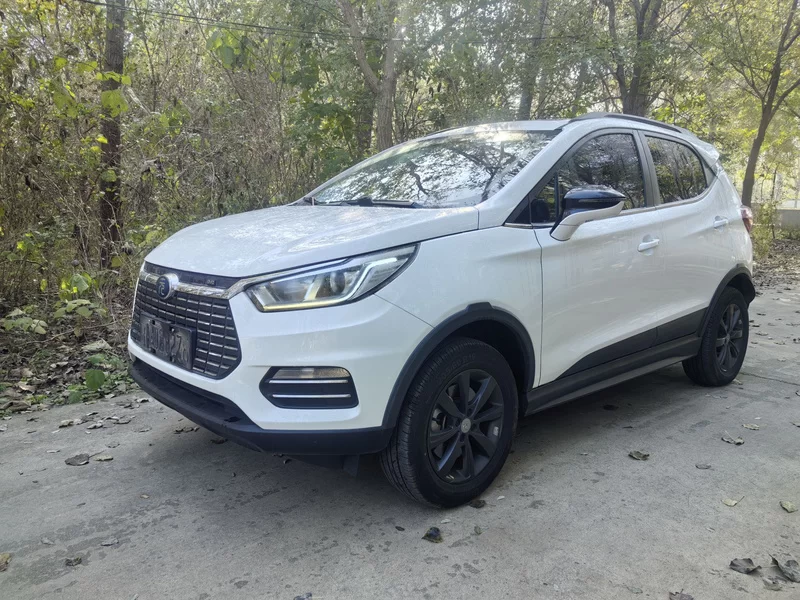 BYD Yuan New Energy 2018 car image 