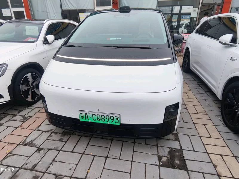 Li Mega 2024 汽车图片 