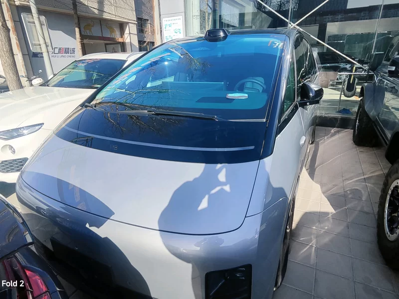 Li Mega 2025 汽车图片 