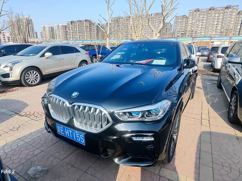 BMW X6 2020 汽车图片 