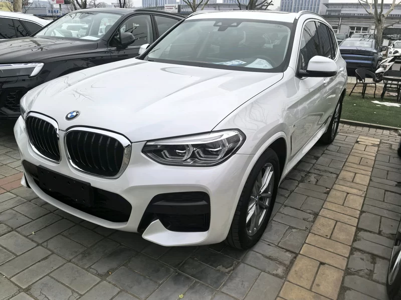 X3 2021 X3 2021 car image